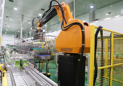 全自动码垛机器人与激光加工设备 赋能现代饲料厂智能升级